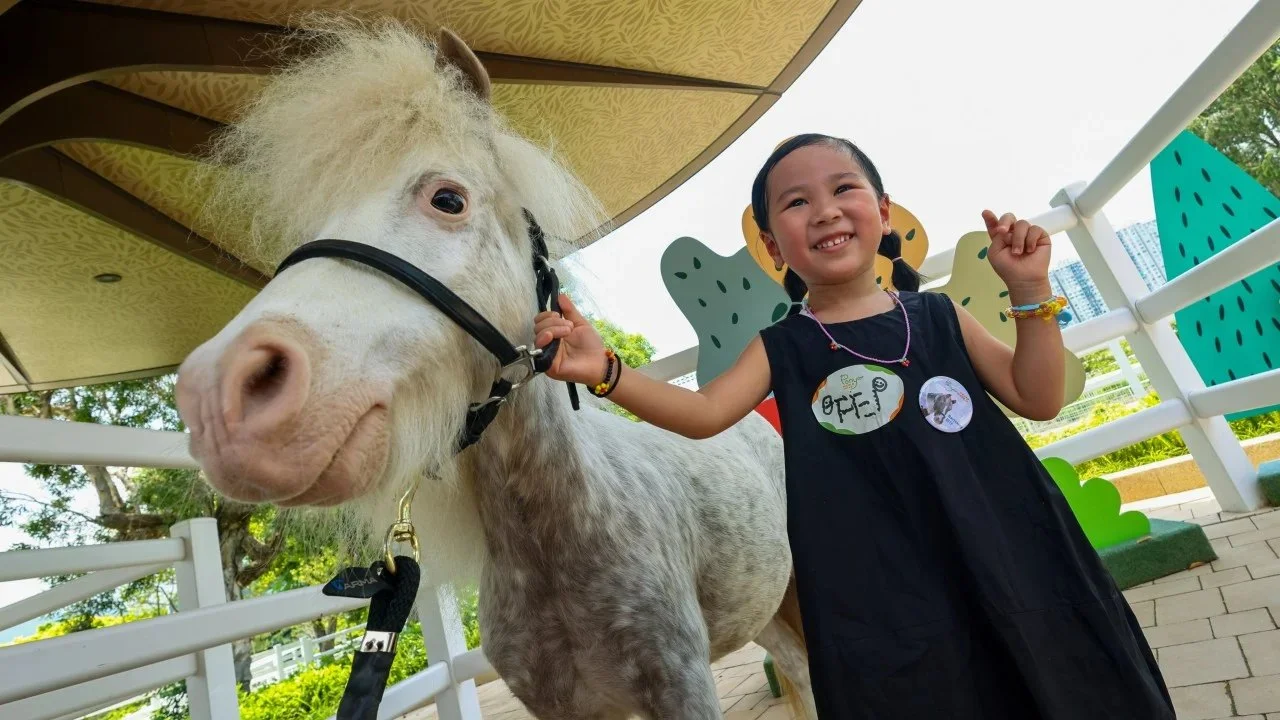 香港赛马会PonyWorld揭幕综合体育数据趋势对比分析